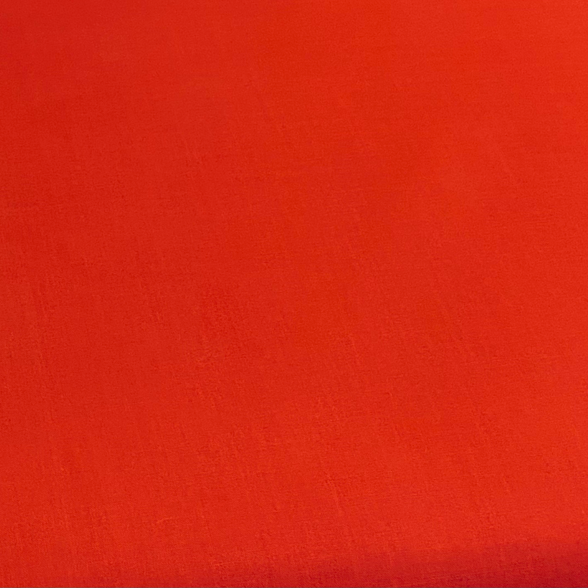 Poppy image 0