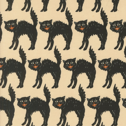 Home Sweet Haunt by Stacy Iest Hsu