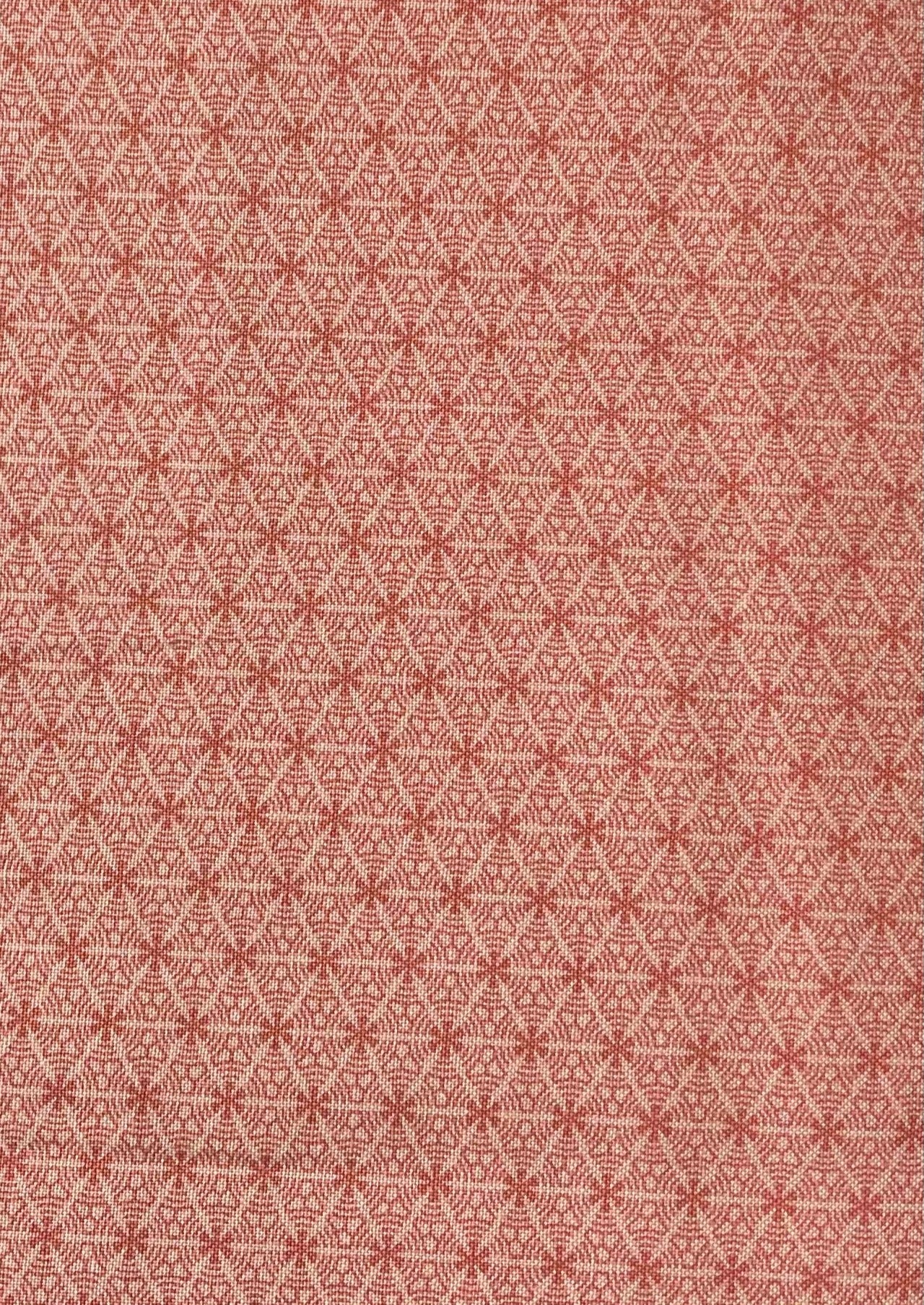 Starflower pink image 0