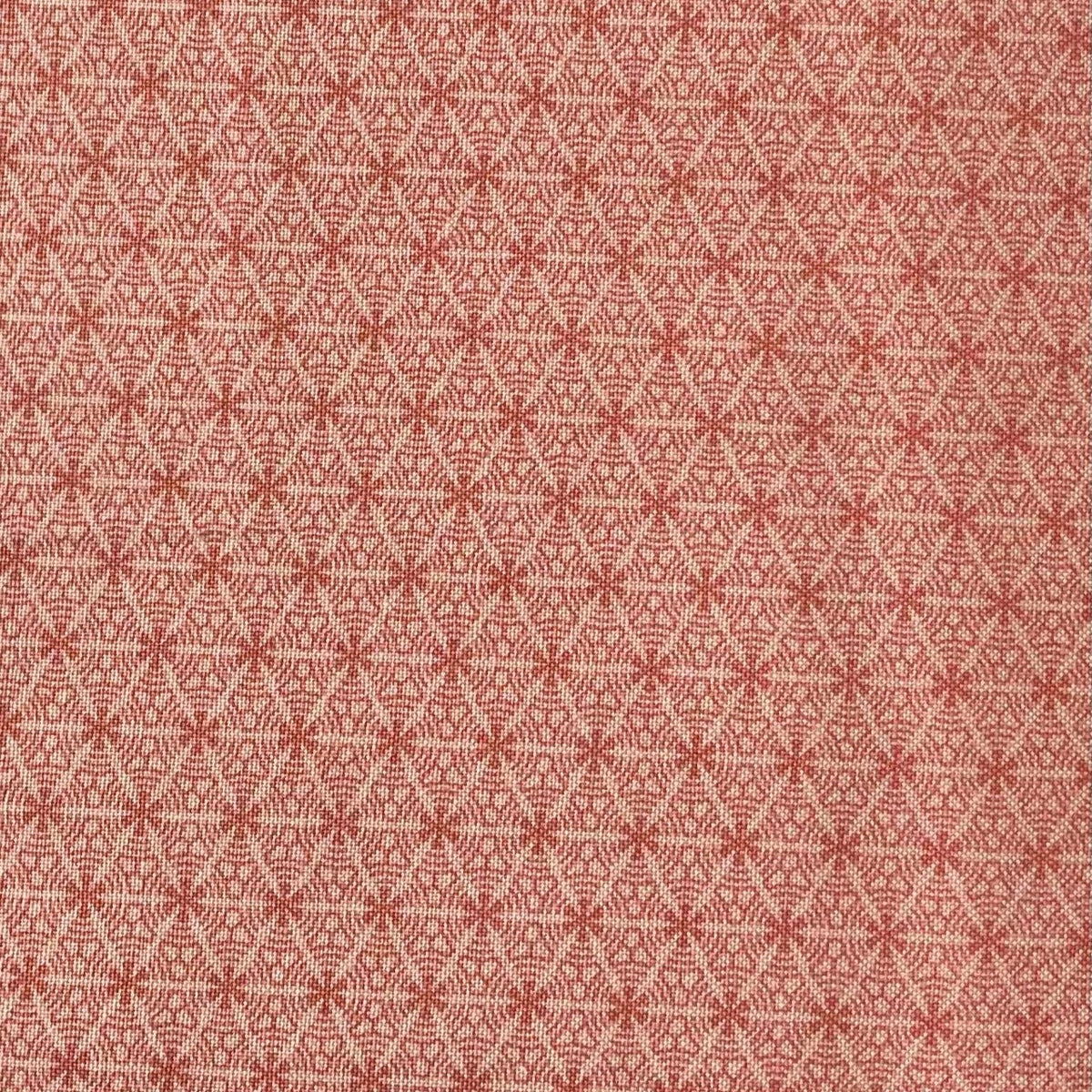 Starflower pink image 0