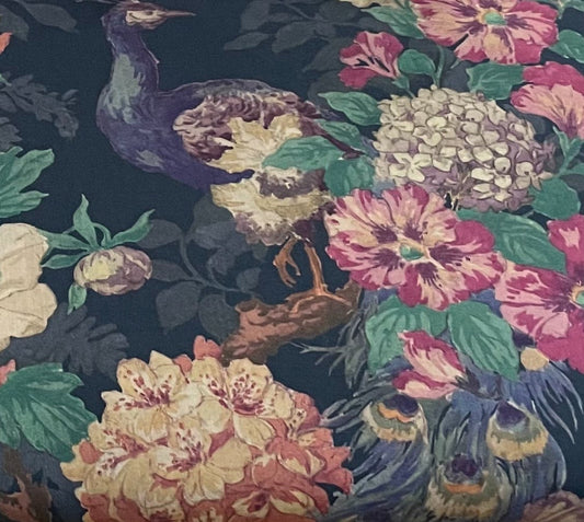 Camberwell Peacock image 0