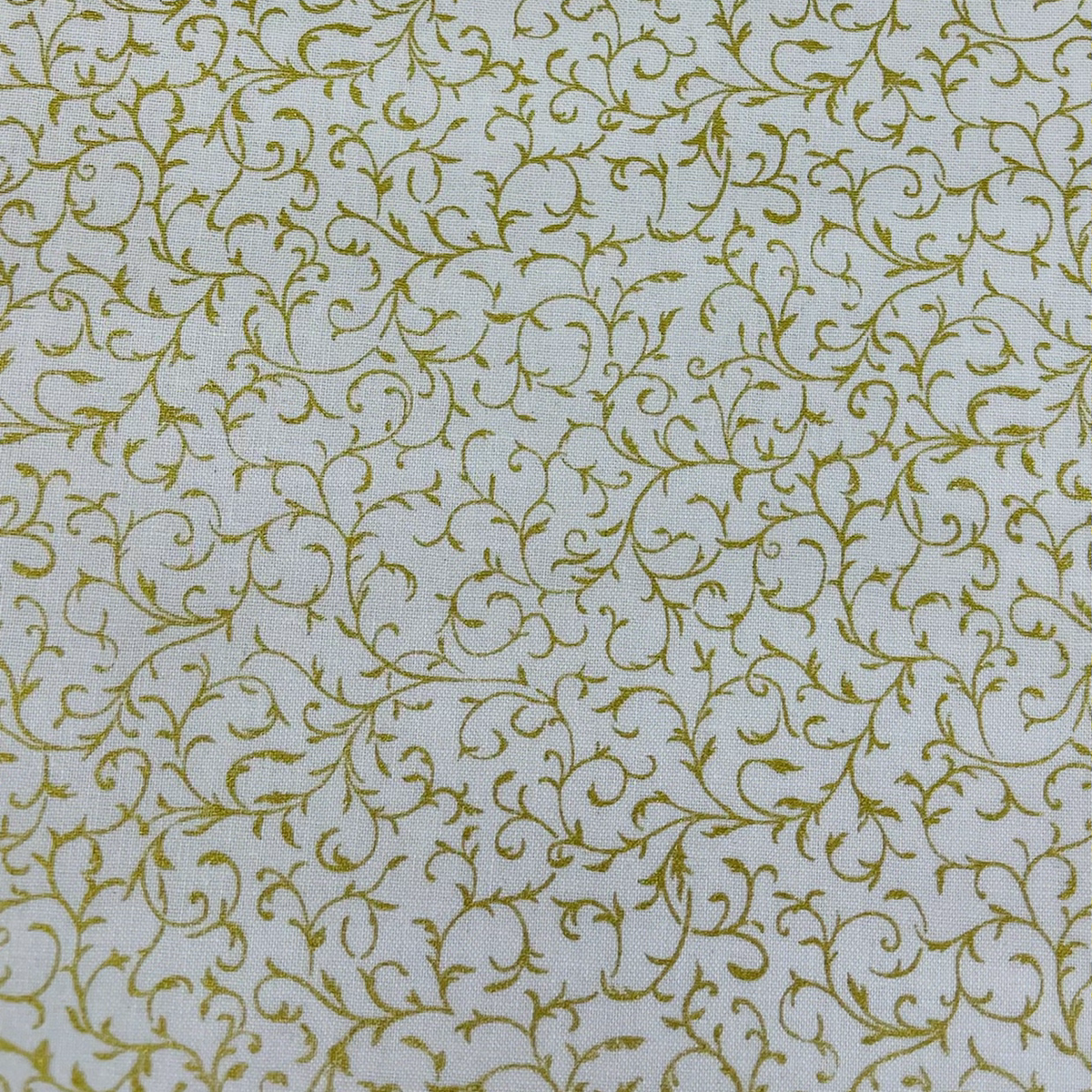 Scroll Gold on White image 0