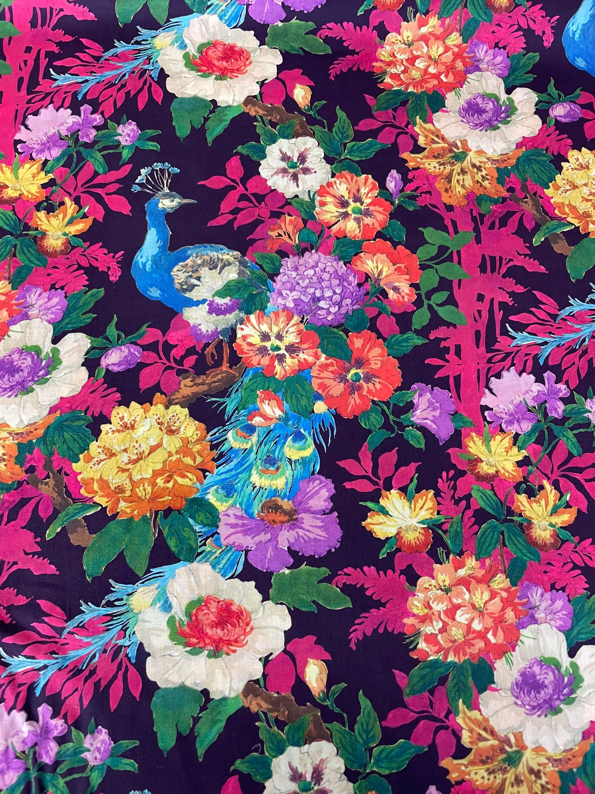 Camberwell Peacock image 0