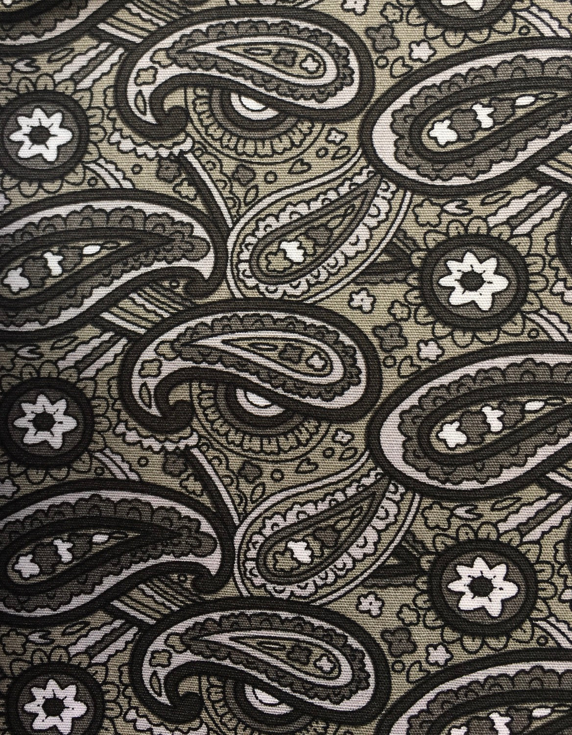 Grey paisley poplin image 0