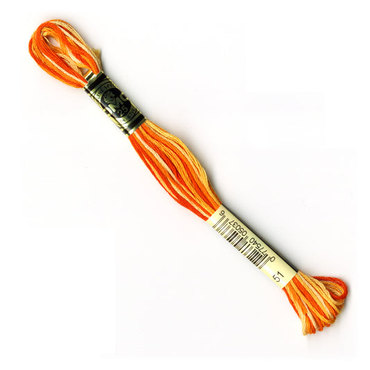 DMC Mouline Stranded Cotton TwoTone image 0