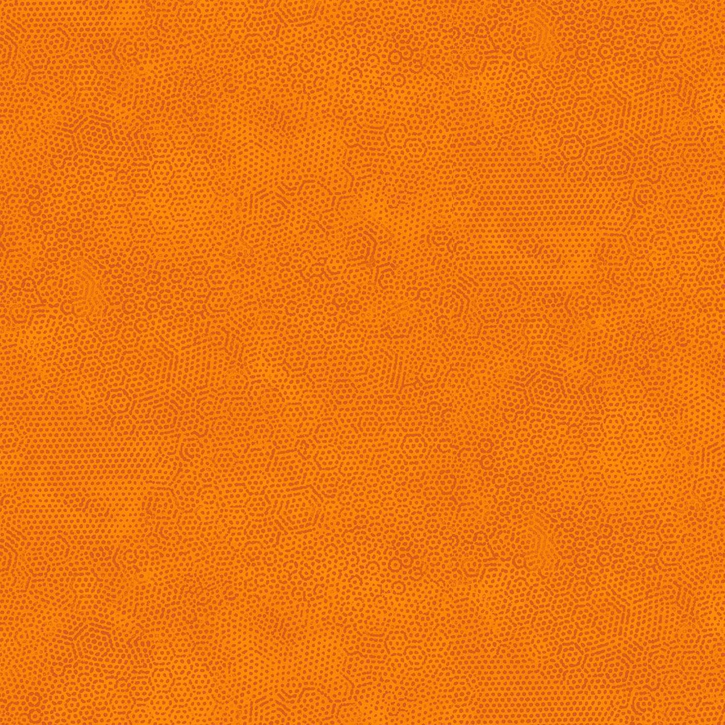 Dimples Carrot image 0