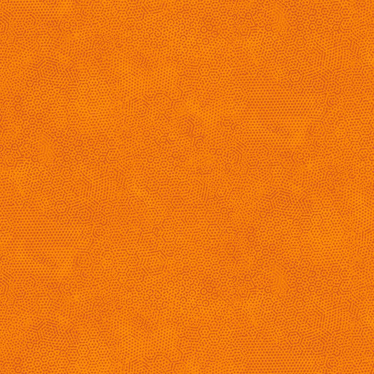 Dimples Carrot image 0