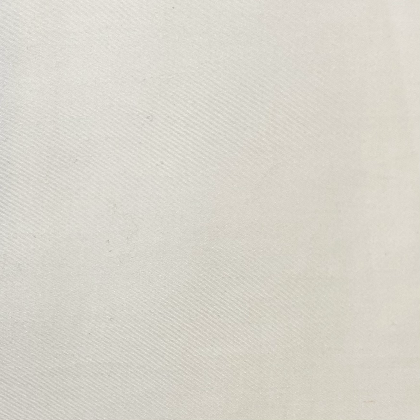 Ivory Cotton and elastin image 0