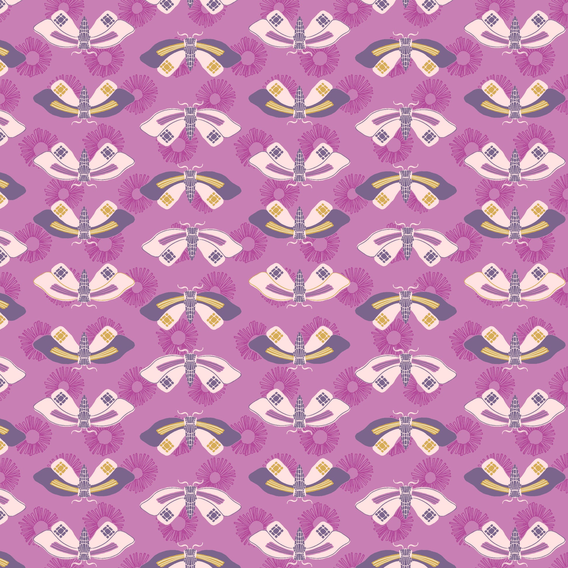 Wandering Butterflies Orchid image 0