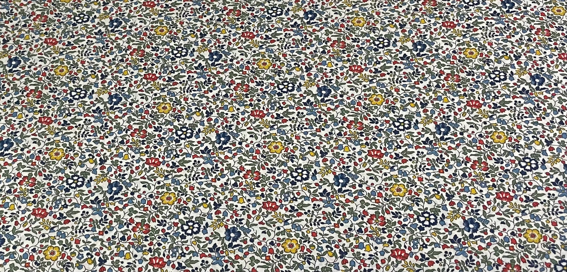 Katie and Millie image 0