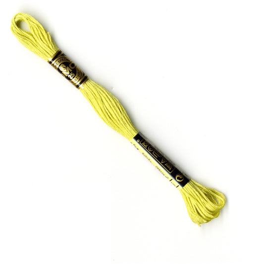 DMC Mouline Stranded Cotton image 0