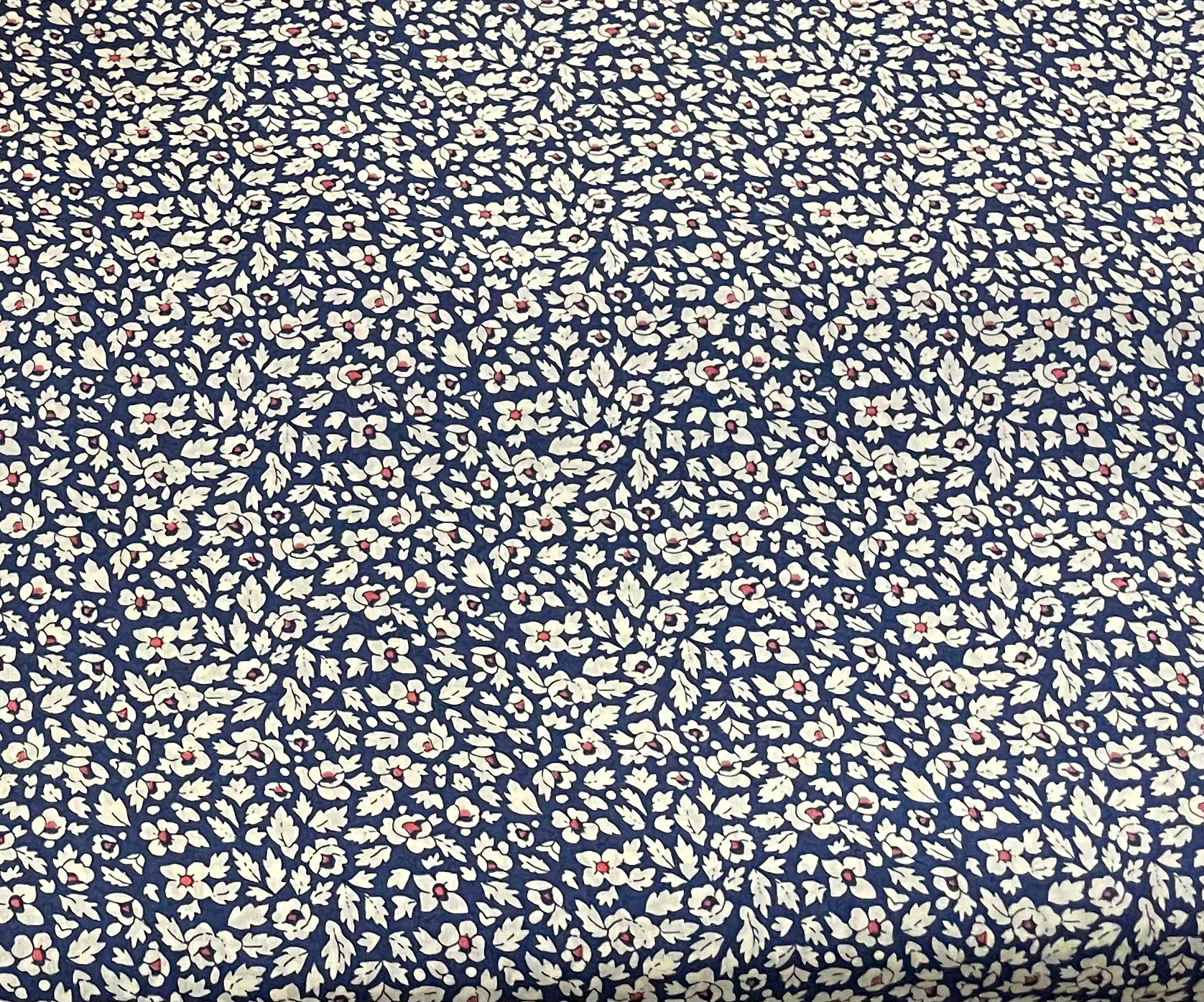 Feather Meadow image 0