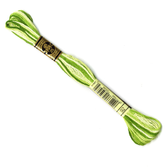 DMC Mouline Stranded Cotton Two Tone image 0