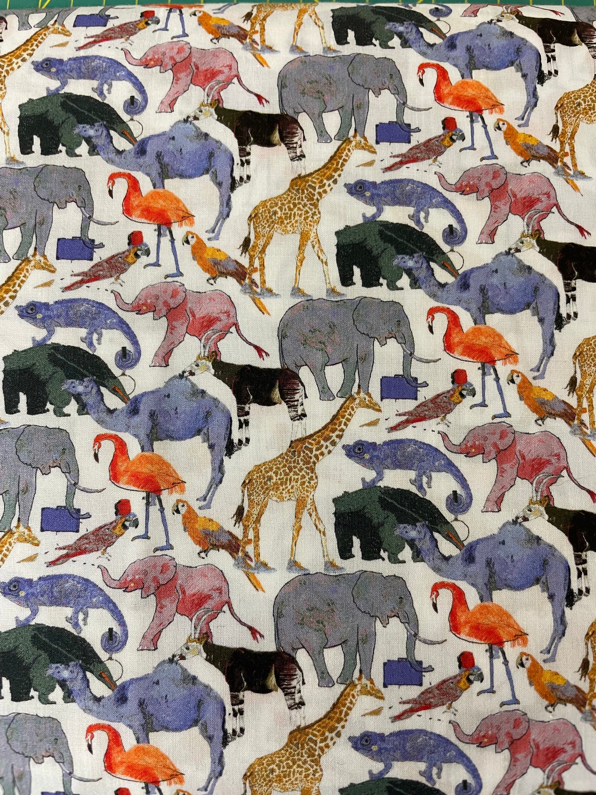 Queue for the Zoo image 0