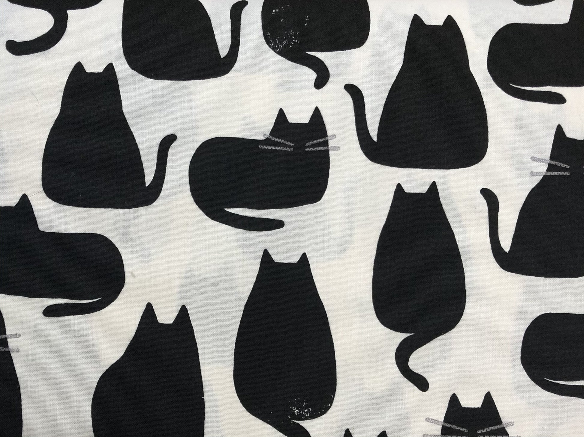 Black cats on Ivory image 0