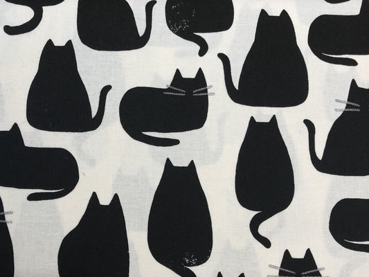 Black cats on Ivory image 0