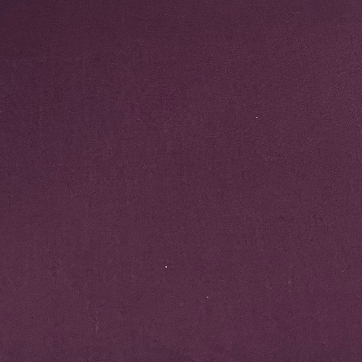 Aubergine image 0