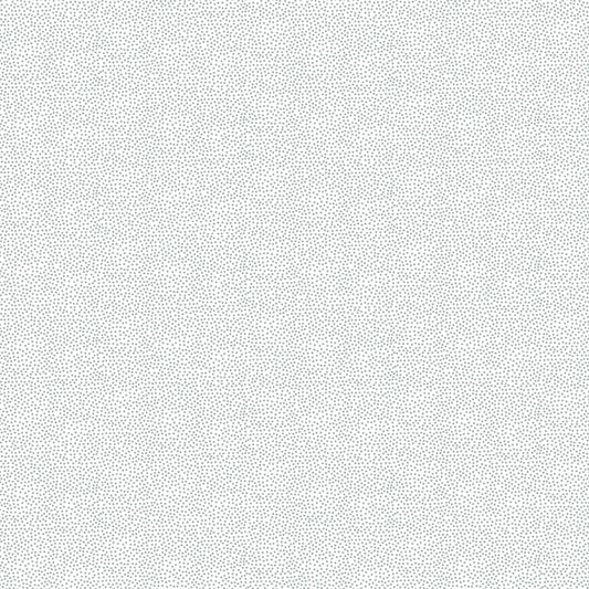 Tiny Dot Silver on White image 0