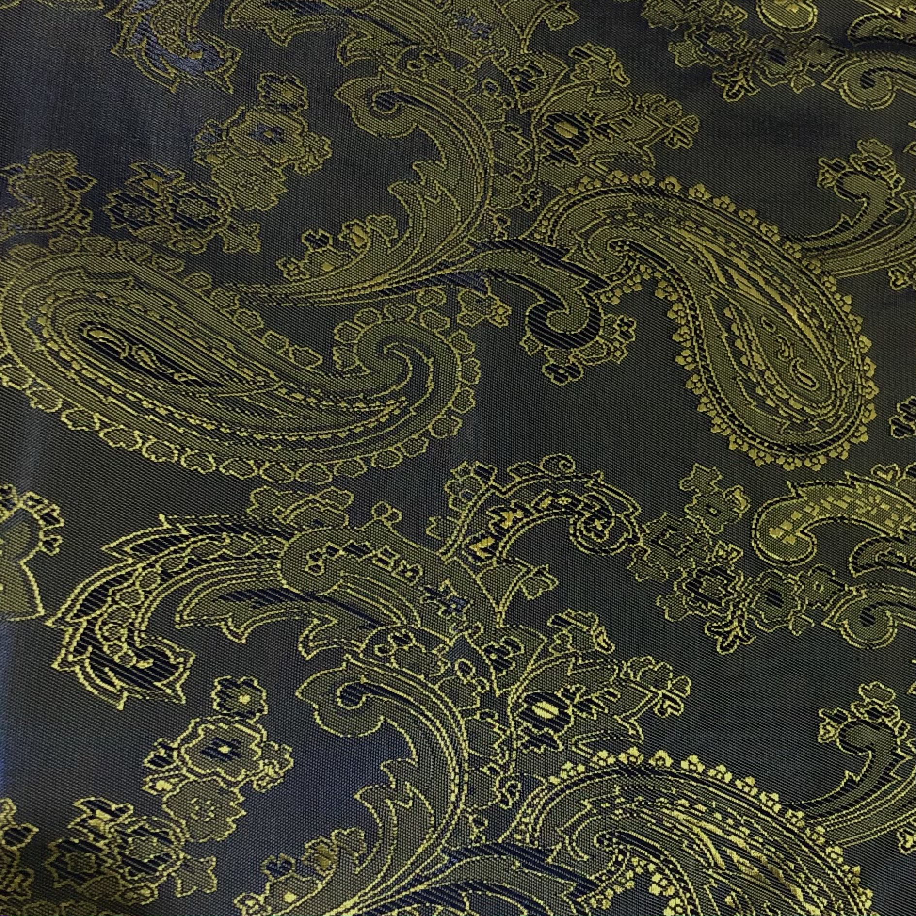 Two Tone Paisley Lining image 0