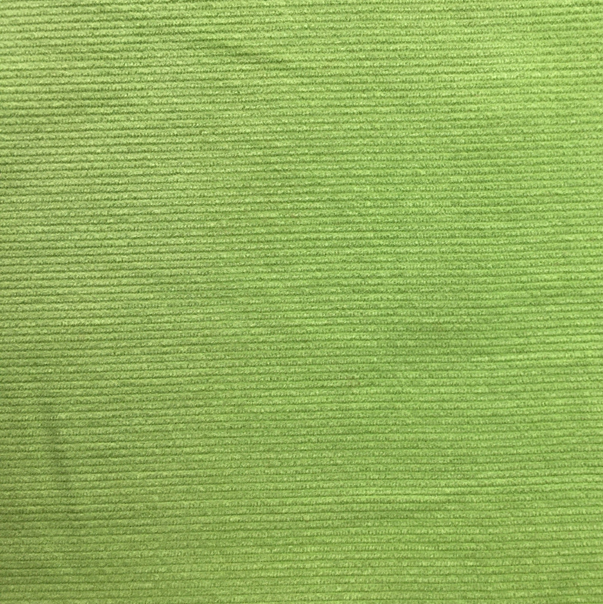 Needlecord Lime image 0