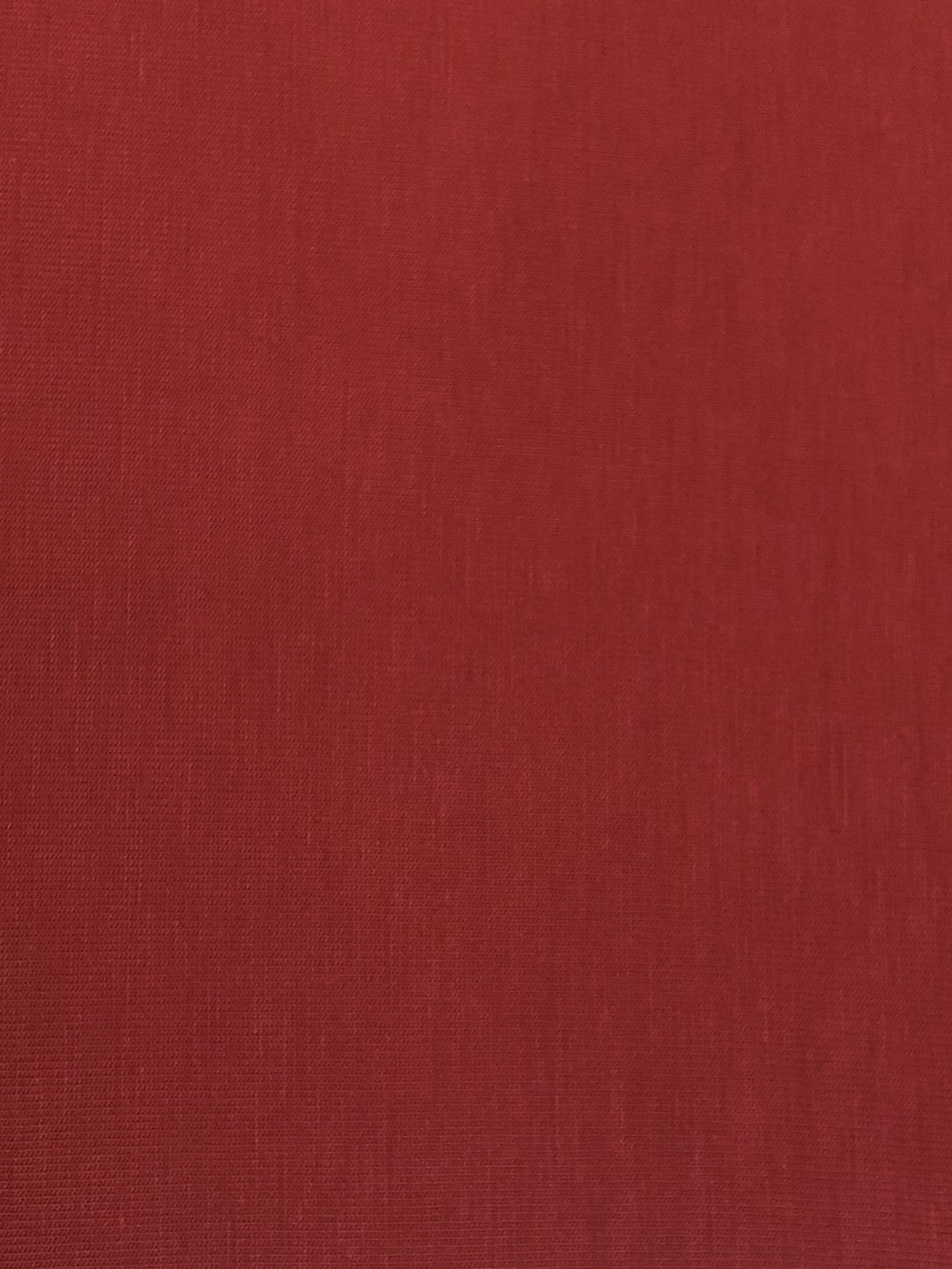 Single Knit Jersey red image 0