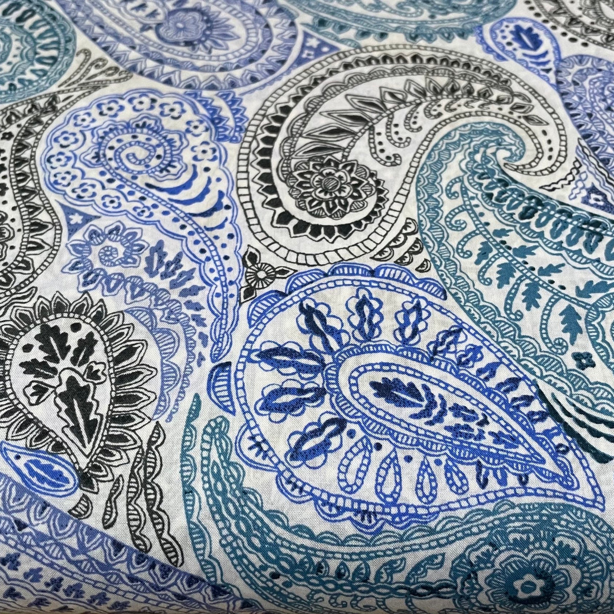 Deco Paisley - blue image 0