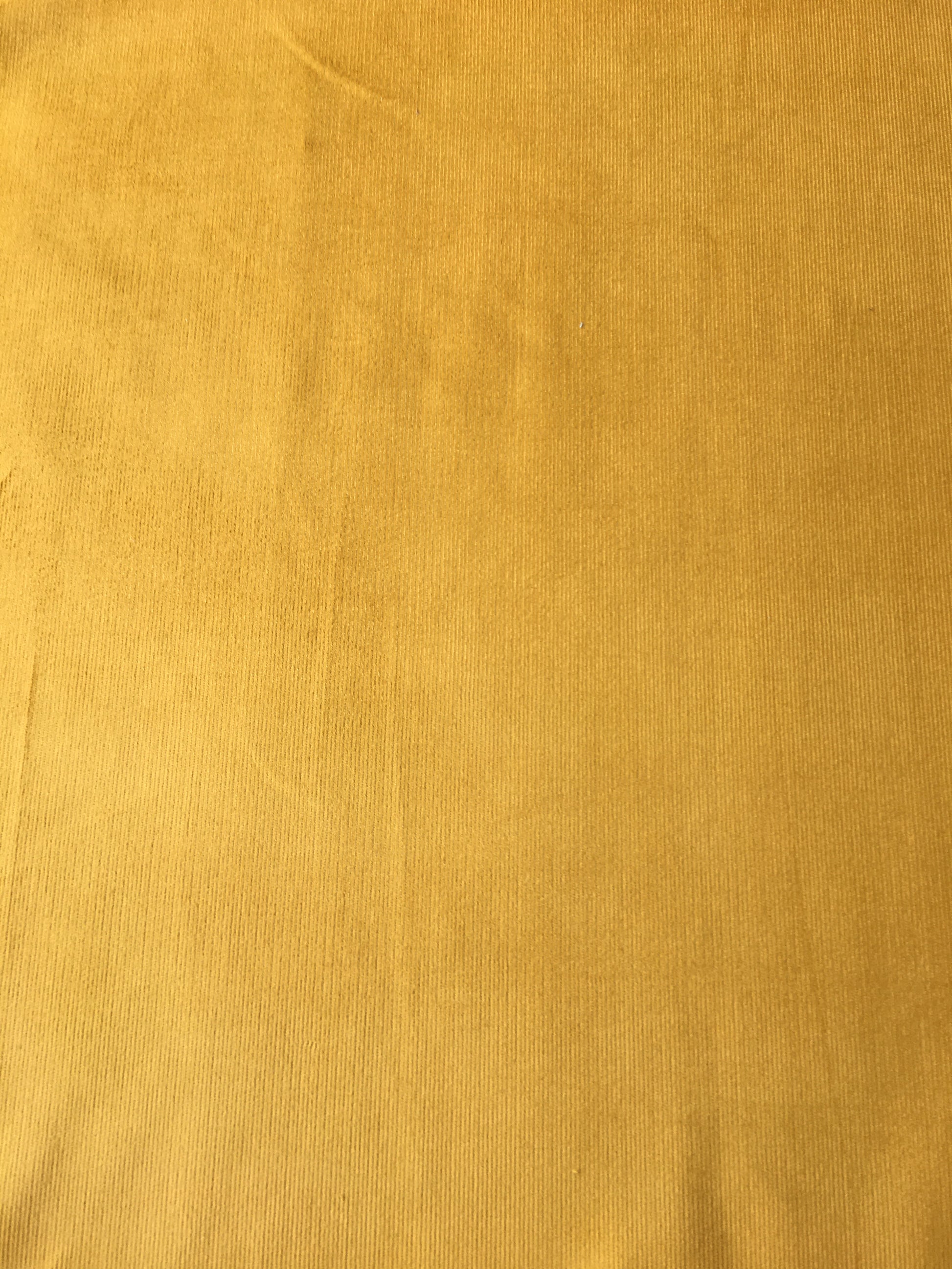 Needlecord Mustard image 0