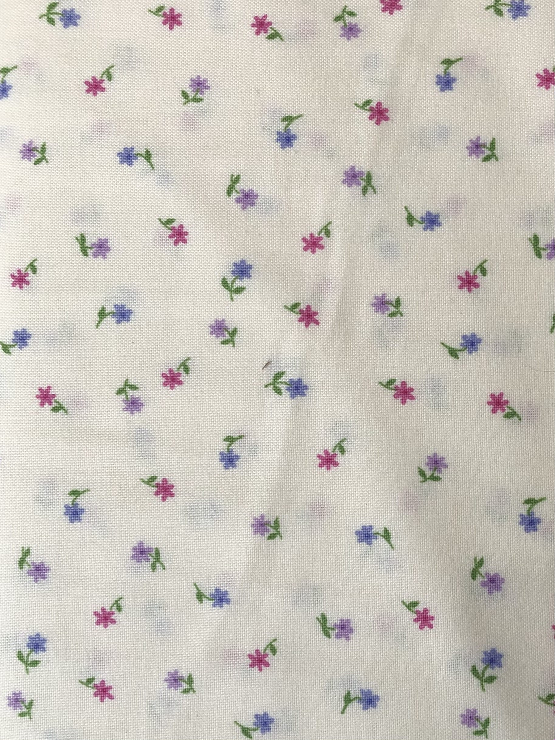 Ditzy Floral spaced daisy - Cream image 0
