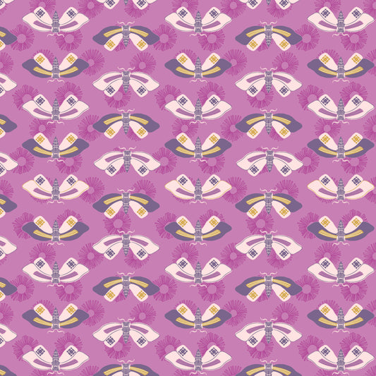 Wandering Butterflies Orchid image 0