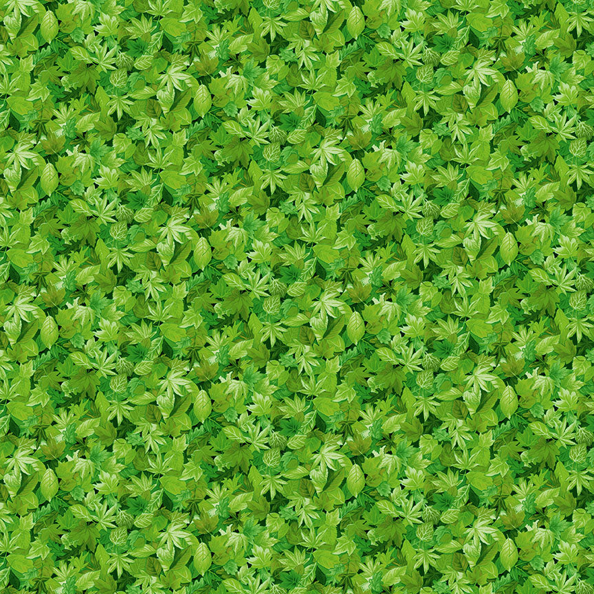 Leaves image 0