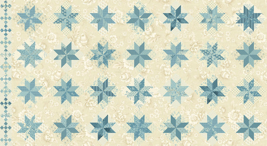 Bluebird North Star First Snow image 0